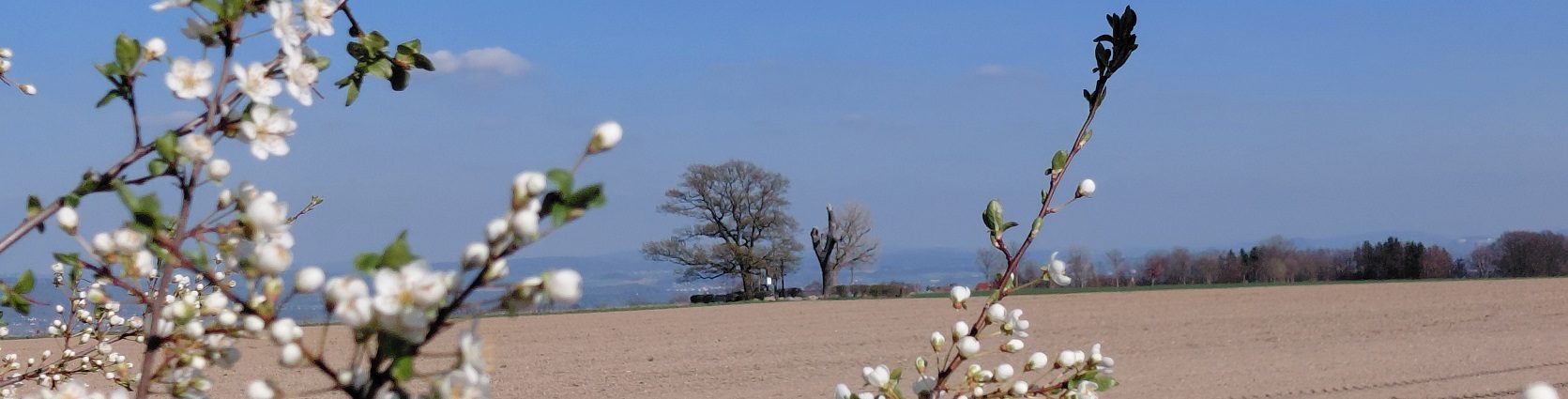 Modellflugsportclub TU-Dresden
